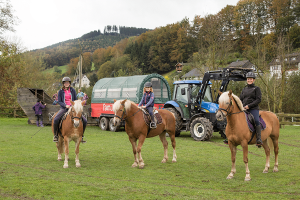 Urlaub auf dem Bauernhof mit Tieren wie Pferden auf Monikas Ferienhof