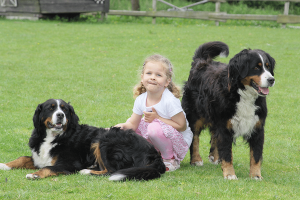 Urlaub auf dem Bauernhof mit Tieren wie Hunden auf Monikas Ferienhof