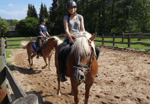 Pferde Reiten für Kinder auf Monikas Ferienhof